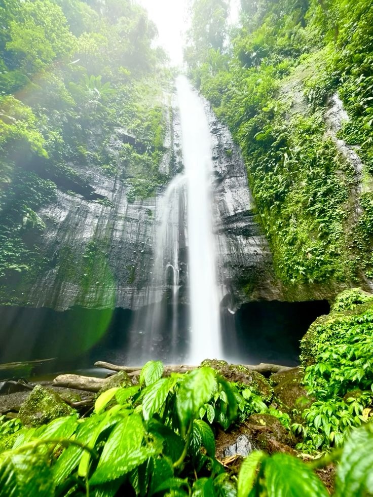 Hidden Waterfall Trekking
